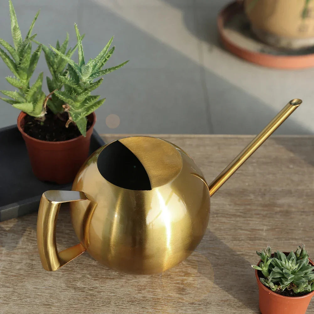 Metal Indoor Plant Watering Pitcher 11 in Diameter Long Spout Rust-Resistant Houseplant Tool Home Garden Container for Succulents Flowers | Thomler