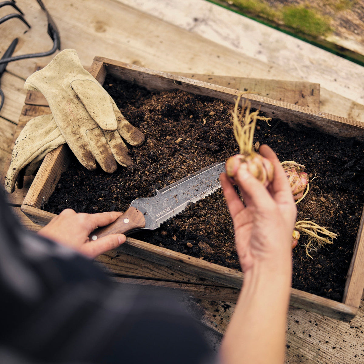 Japanese-Style Garden Digging Knife with Serrated Edge & Walnut Handle for Weeding, Planting & Transplanting | Thomler