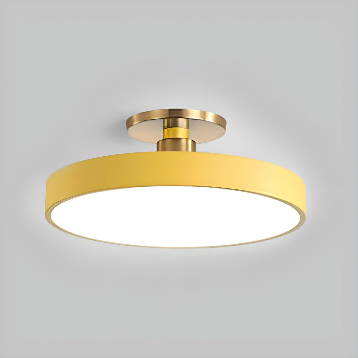 Lámpara de techo LED de 12 pulgadas, redonda, regulable, de bajo perfil para dormitorio, cocina, oficina, hogar, acrílico moderno | Thomler