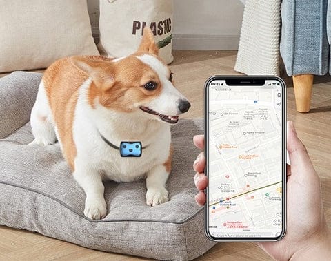 GPS Tracker for Dogs | Location Collar