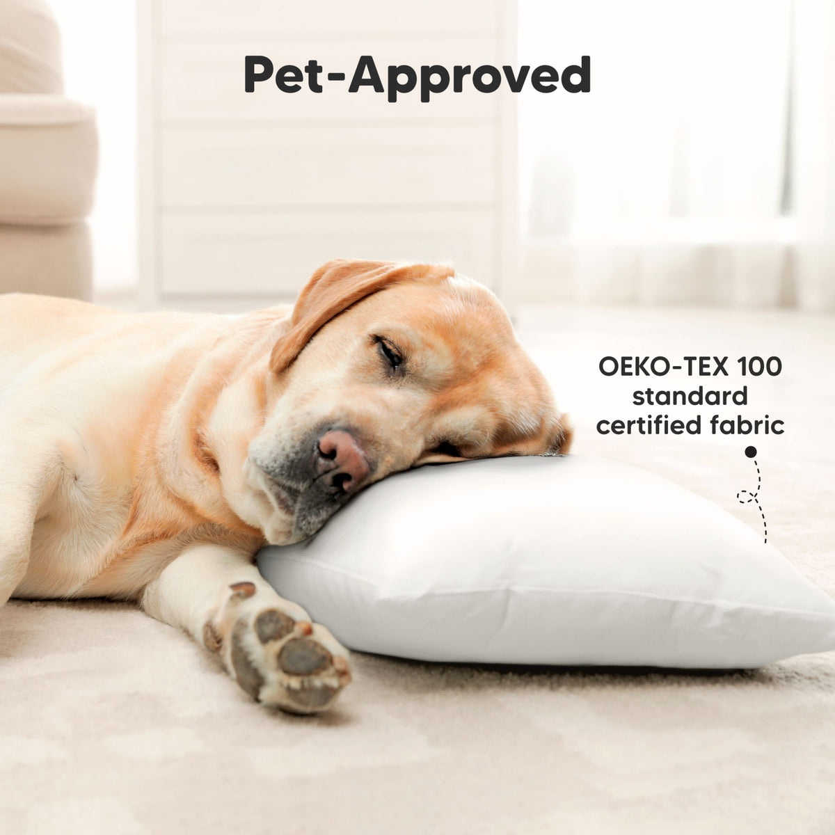 2-Pack Jumbo Toddler Pillows Without Pillowcase