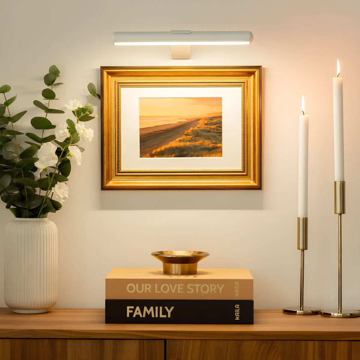 Rechargeable Picture Light LED Wall Mount Clip-On Art Accent Lamp with 360° Rotating Head Adjustable Brightness for Paintings Frames Gallery | Thomler