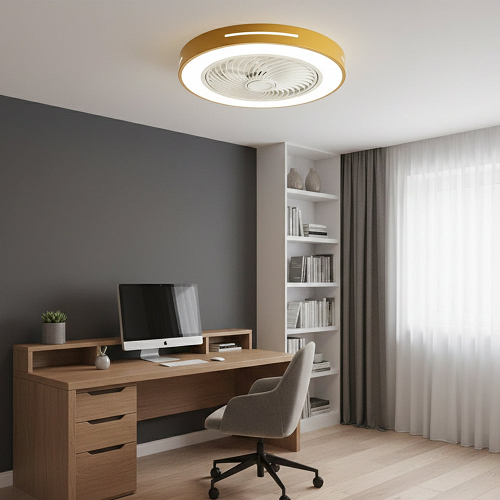 Indoor Fan with Integrated Lighting 24-Inch Diameter Acrylic Blade Assembly Adjustable Speed and Brightness for Bedrooms Living Rooms Dining | Thomler