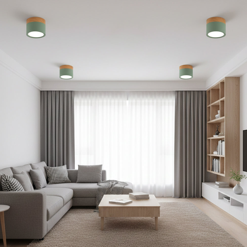 Compact Cylindrical Flush Mount LED Fixture for Residential Spaces – Aluminum Housing, Warm & Cool Temperatures, Multiple Finishes | Thomler