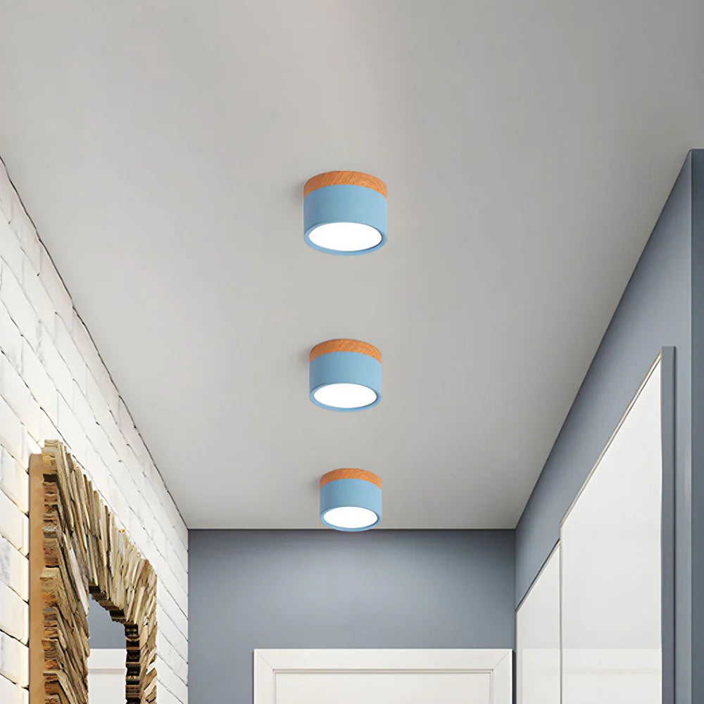 Compact Cylindrical Flush Mount LED Fixture for Residential Spaces – Aluminum Housing, Warm & Cool Temperatures, Multiple Finishes | Thomler