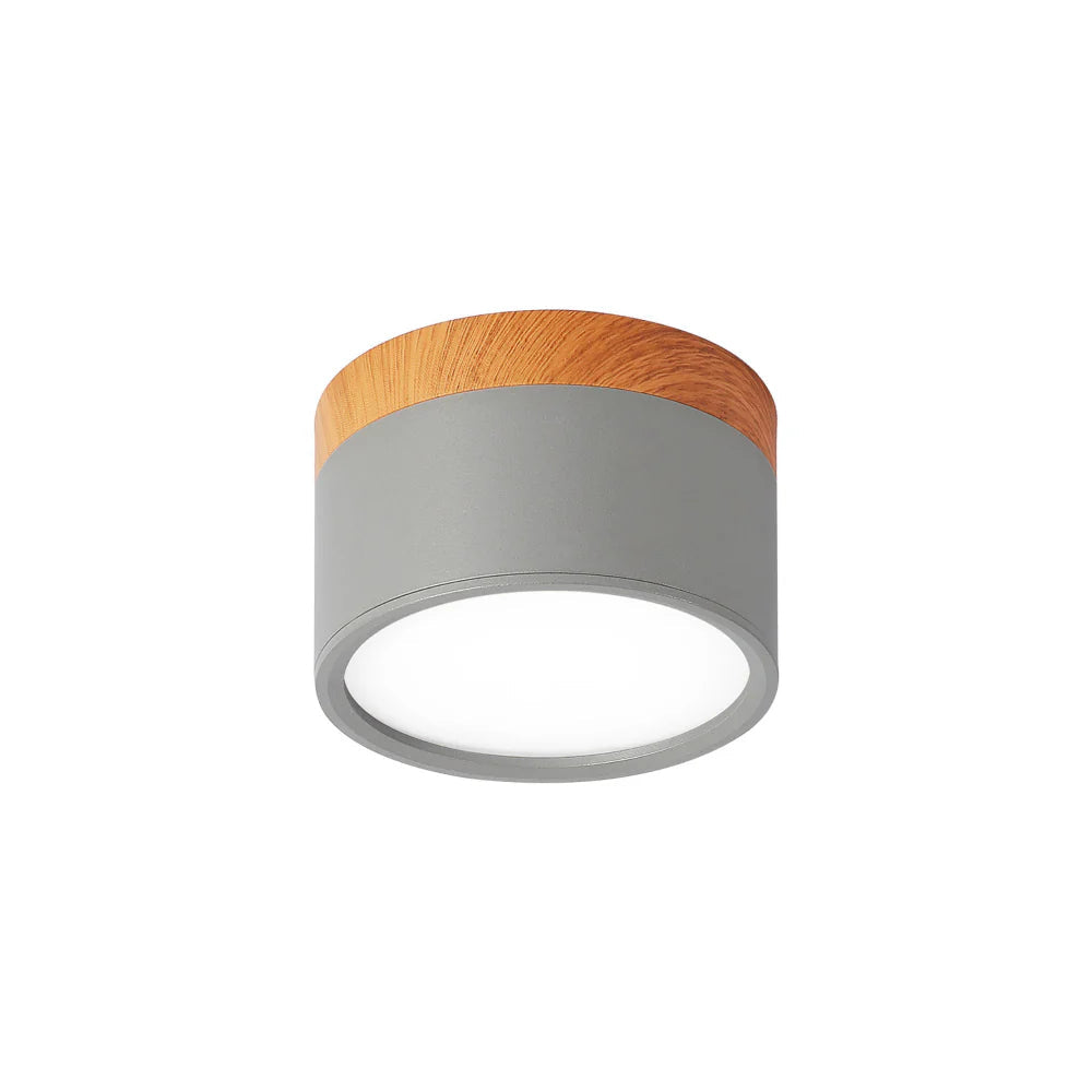 Compact Cylindrical Flush Mount LED Fixture for Residential Spaces – Aluminum Housing, Warm & Cool Temperatures, Multiple Finishes | Thomler