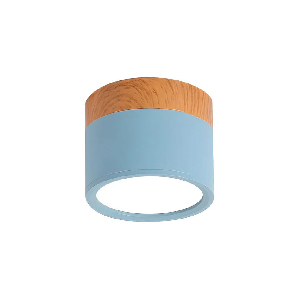 Compact Cylindrical Flush Mount LED Fixture for Residential Spaces – Aluminum Housing, Warm & Cool Temperatures, Multiple Finishes | Thomler