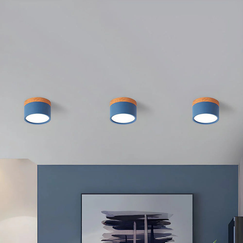 Compact Cylindrical Flush Mount LED Fixture for Residential Spaces – Aluminum Housing, Warm & Cool Temperatures, Multiple Finishes | Thomler