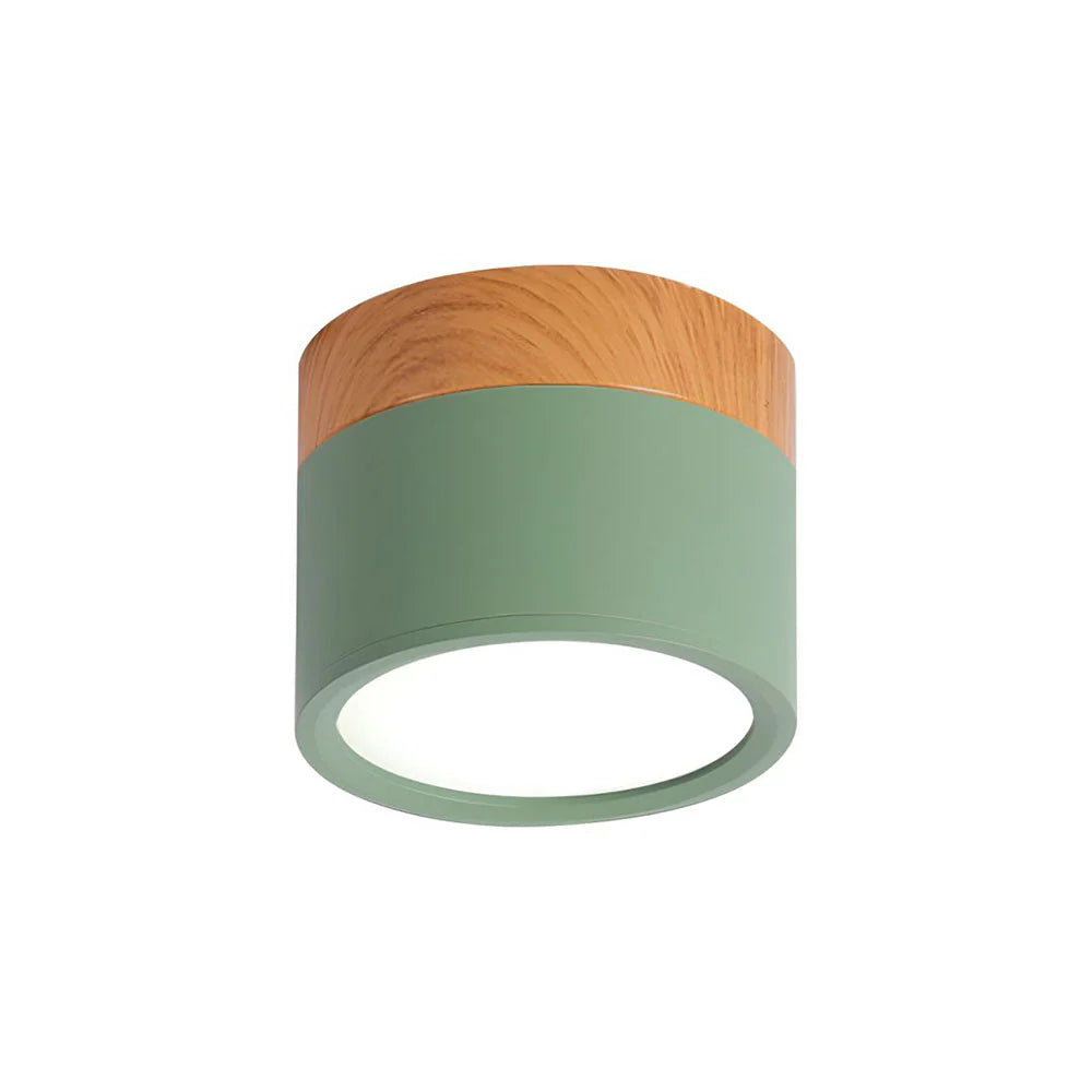 Compact Cylindrical Flush Mount LED Fixture for Residential Spaces – Aluminum Housing, Warm & Cool Temperatures, Multiple Finishes | Thomler