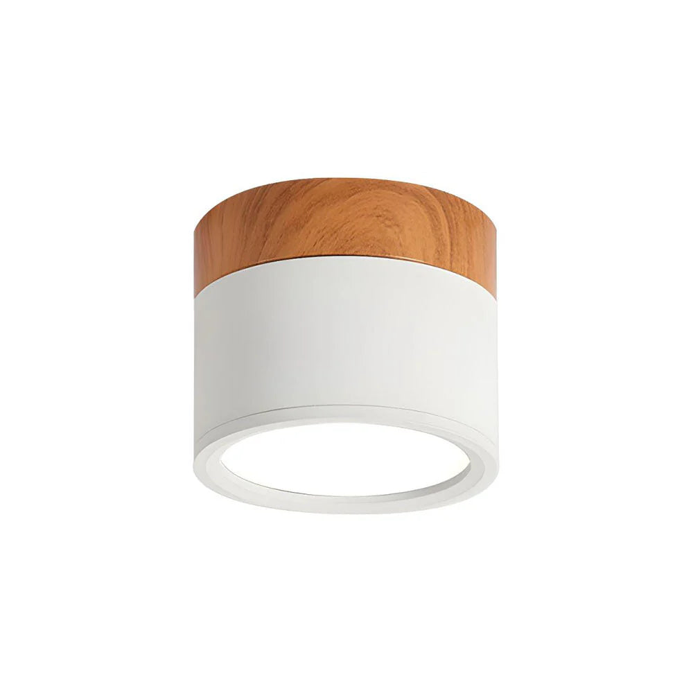 Compact Cylindrical Flush Mount LED Fixture for Residential Spaces – Aluminum Housing, Warm & Cool Temperatures, Multiple Finishes | Thomler