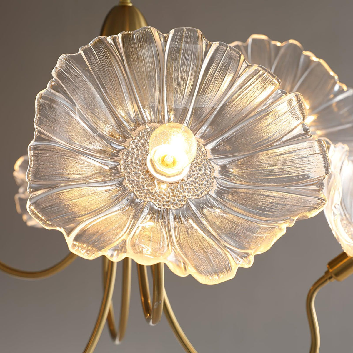 Lámpara colgante botánica de cristal de 35 pulgadas con acabado dorado para comedor, sala de estar o vestíbulo, iluminación ambiental superior | Thomler