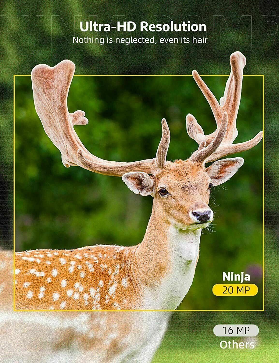 Drahtlose HD-Wildkamera mit Nachtsicht