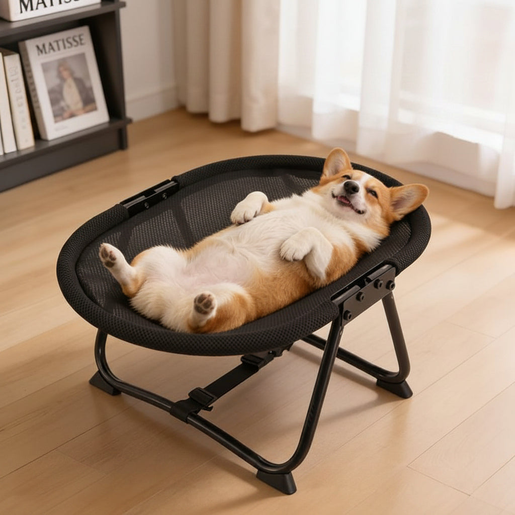 Cama elevada para mascotas con plataforma de malla transpirable y marco de hierro, diseño plegable