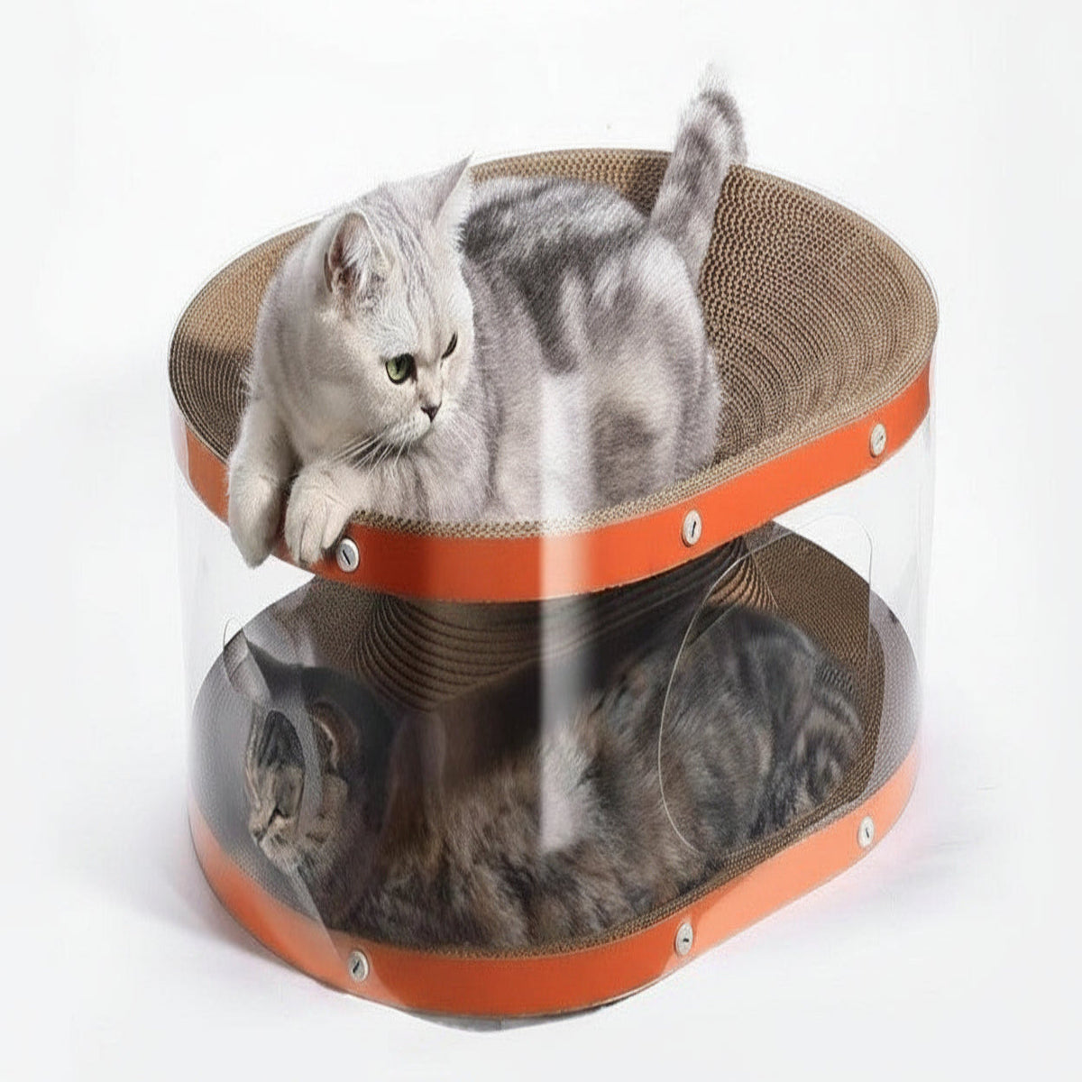 Kratzbrett für Katzen aus Wellpappe mit erhöhtem Liegebereich
