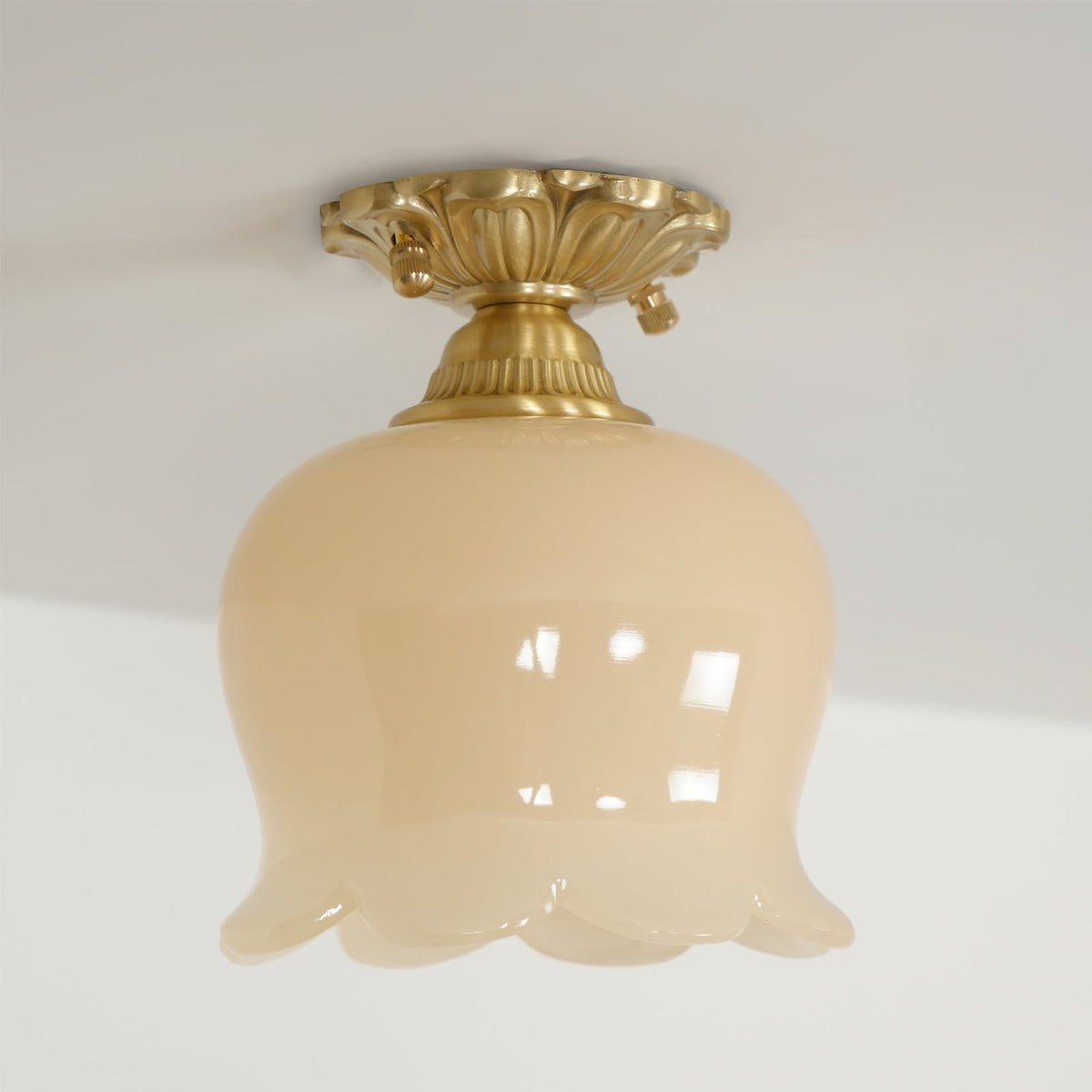 Compact Resin & Brass Flush Mount Ceiling Fixture 6 in Diameter Ambient Room Light E26 Base Bedroom Living Room Dining Kitchen Hallway Entry | Thomler