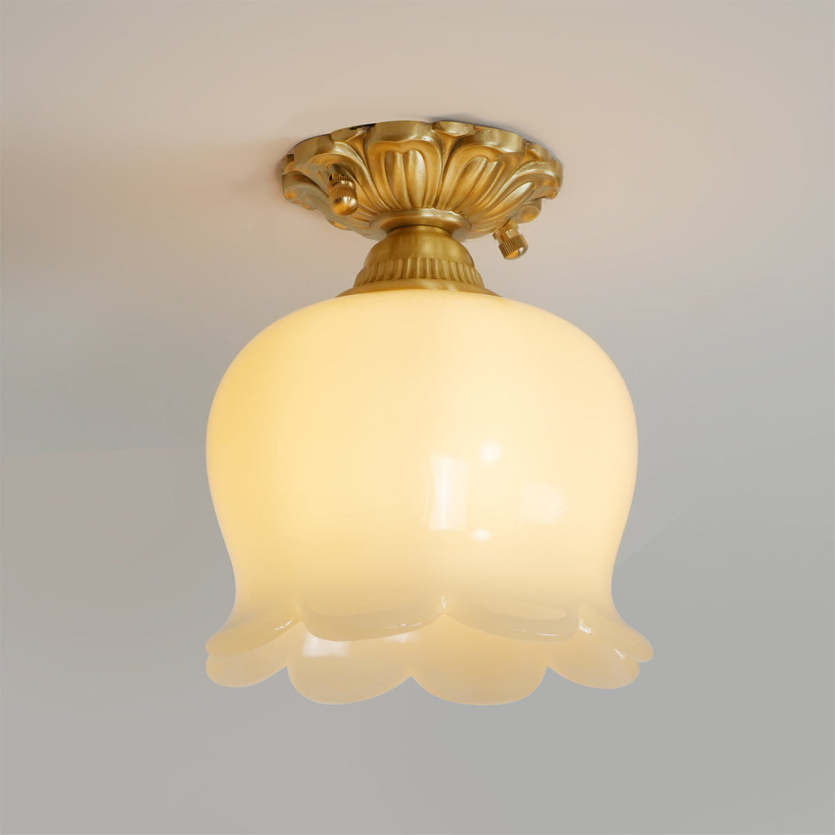Compact Resin & Brass Flush Mount Ceiling Fixture 6 in Diameter Ambient Room Light E26 Base Bedroom Living Room Dining Kitchen Hallway Entry | Thomler