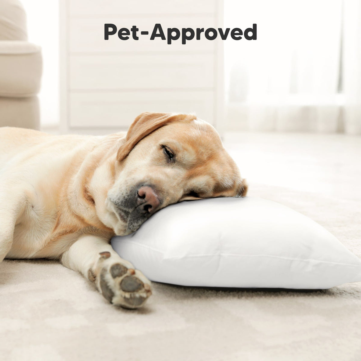 Cuddly Toddler Pillow with Pillowcase