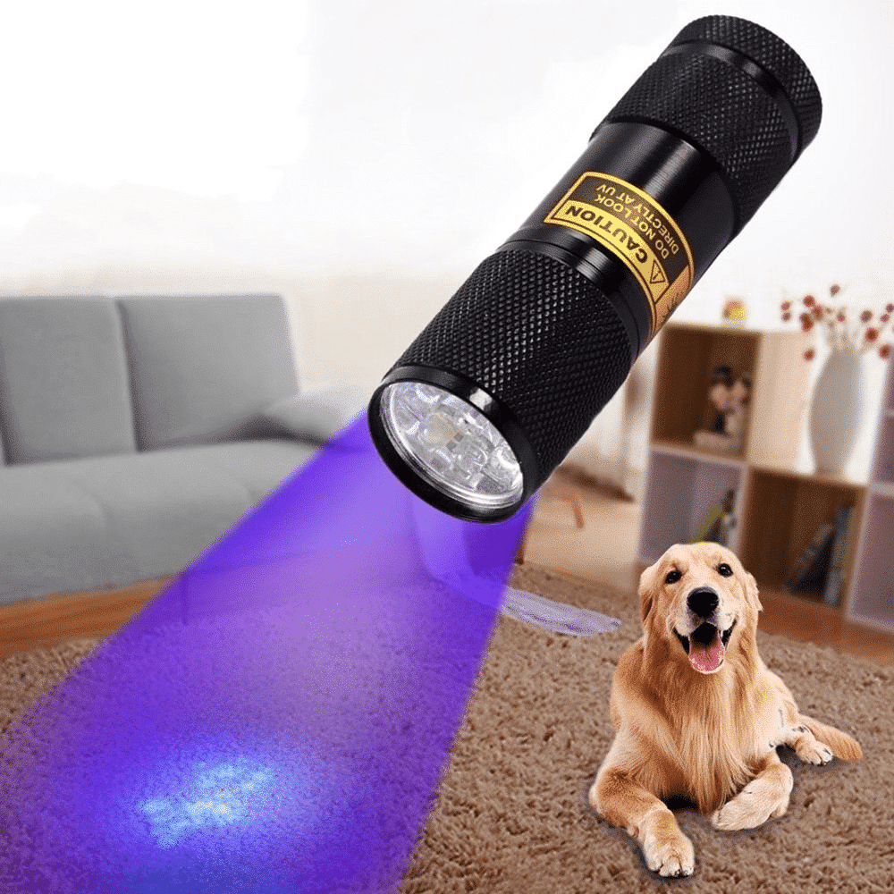 Krachtige uv-zaklamp met 21 leds