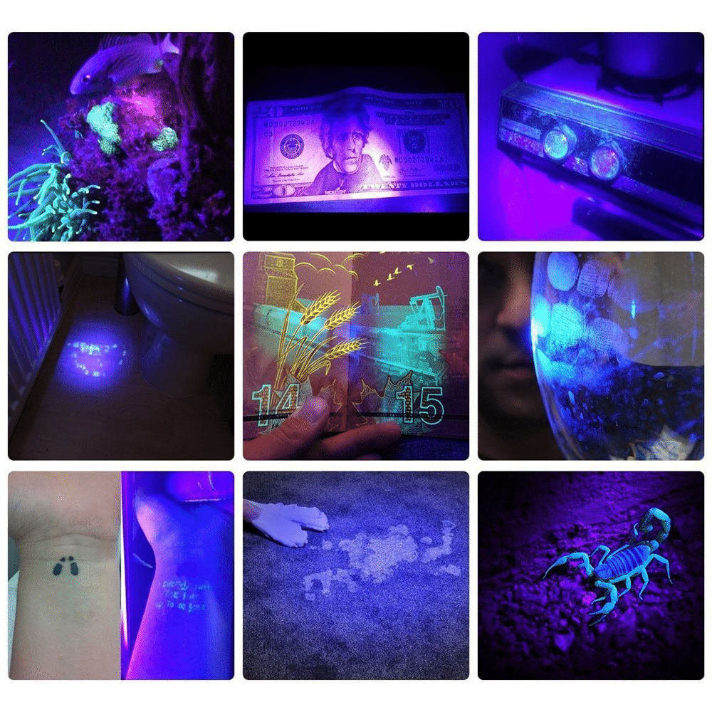 Krachtige uv-zaklamp met 21 leds