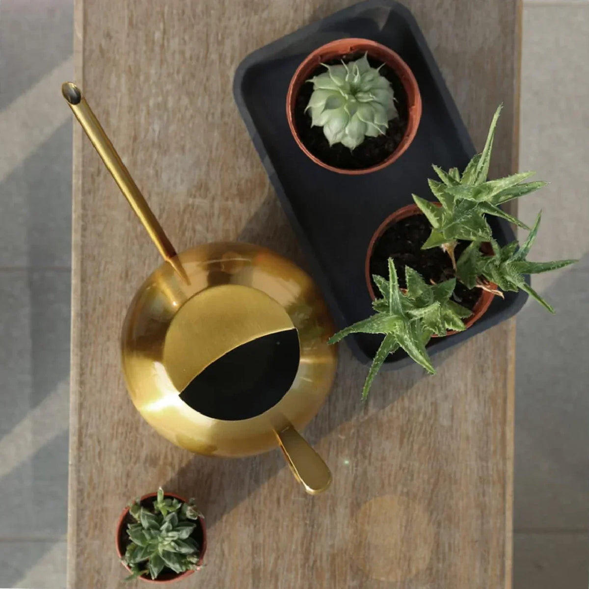 Metal Indoor Plant Watering Pitcher 11 in Diameter Long Spout Rust-Resistant Houseplant Tool Home Garden Container for Succulents Flowers | Thomler