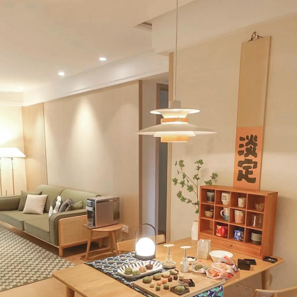 Overhead Hanging Ceiling Light Metal Dome Shade Adjustable Height for Dining Table Kitchen Island Bedroom Study | Thomler