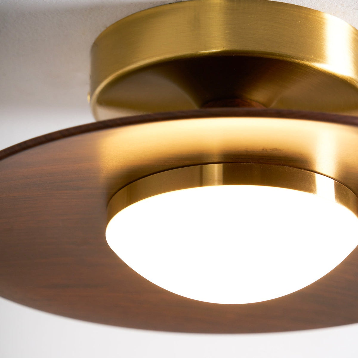 Flush Mount Light Fixture with Wood Accent 9 in Diameter LED for Kitchen Dining Room Entryway Hallway Low Profile Gold Metal Frame Walnut Fi | Thomler