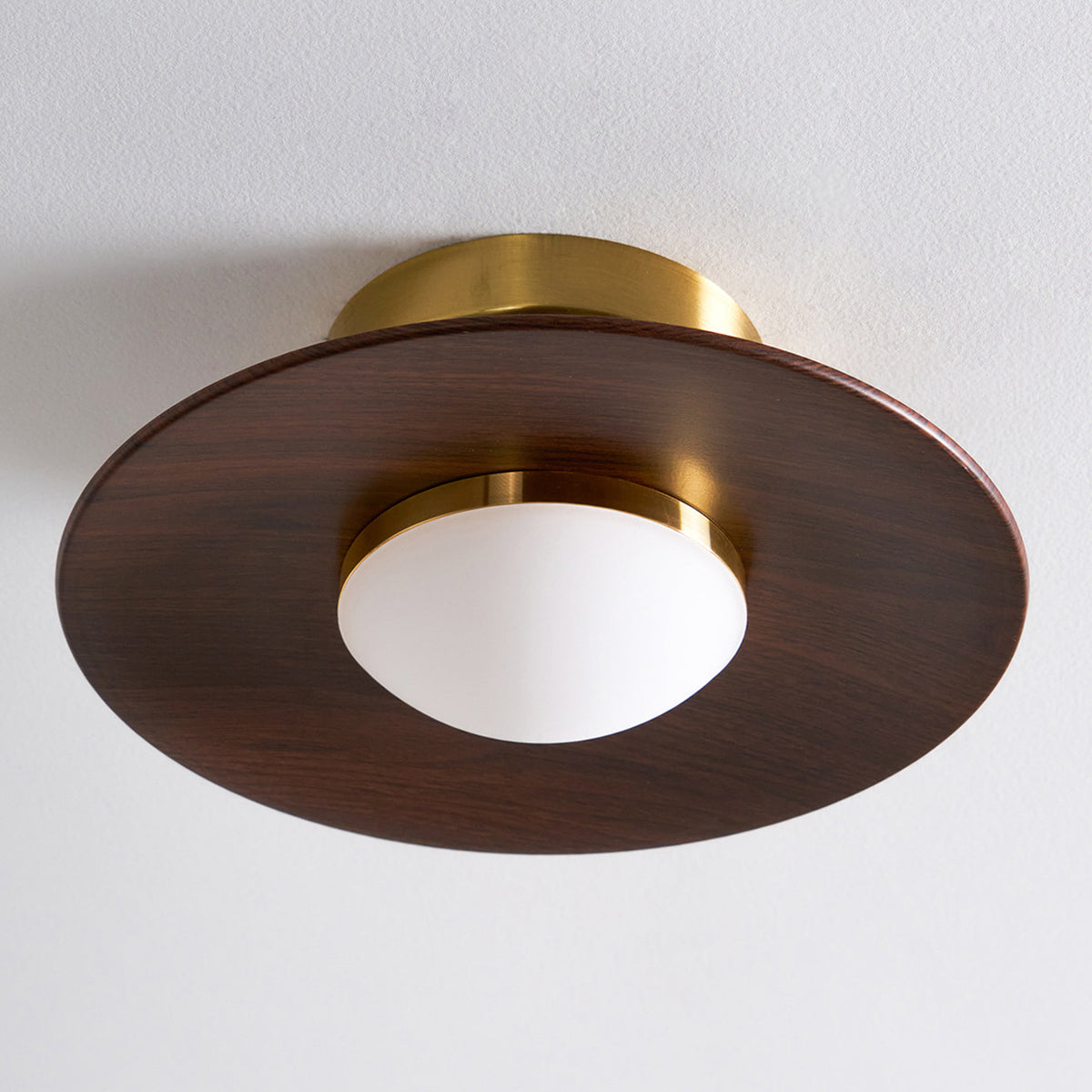 Flush Mount Light Fixture with Wood Accent 9 in Diameter LED for Kitchen Dining Room Entryway Hallway Low Profile Gold Metal Frame Walnut Fi | Thomler