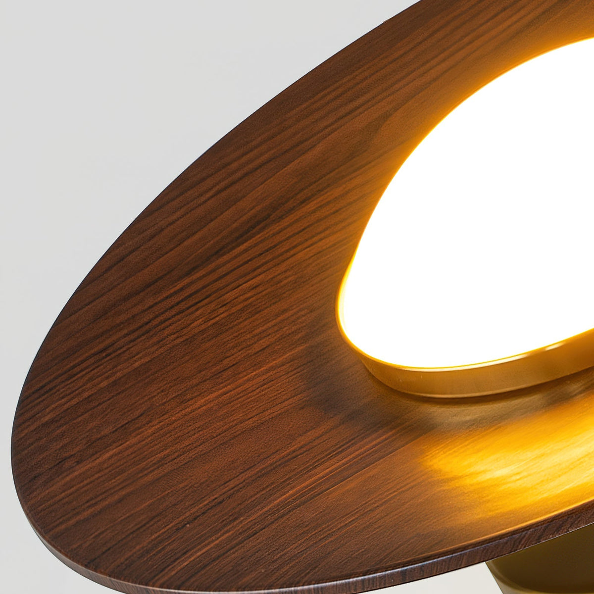 Flush Mount Light Fixture with Wood Accent 9 in Diameter LED for Kitchen Dining Room Entryway Hallway Low Profile Gold Metal Frame Walnut Fi | Thomler