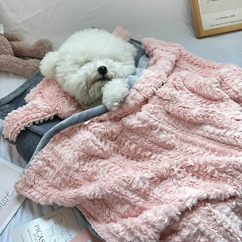 Cama de felpa para mascotas con borde elevado y cojín a juego, lavable a máquina