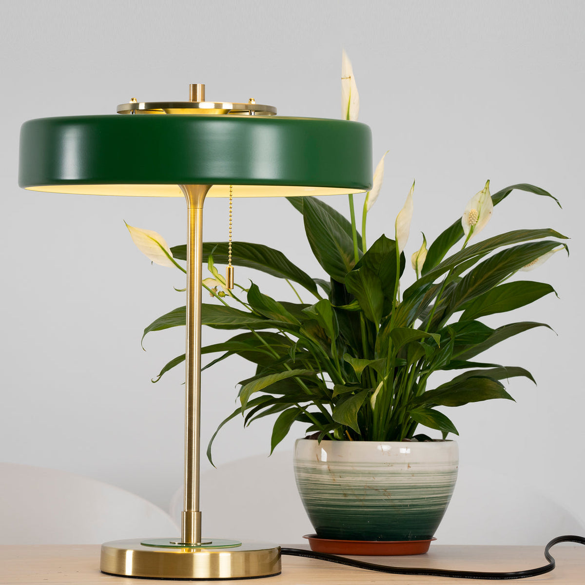 Lámpara de lectura de noche con pantalla de metal y difusor acrílico para escritorio, mesita de noche, oficina, dormitorio y decoración de estudio, interruptor de cadena, luz cálida | Thomler