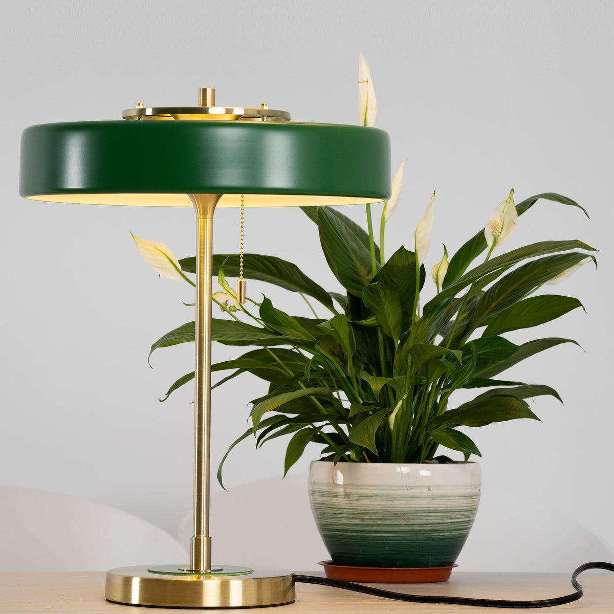 Lámpara de lectura de noche con pantalla de metal y difusor acrílico para escritorio, mesita de noche, oficina, dormitorio y decoración de estudio, interruptor de cadena, luz cálida | Thomler
