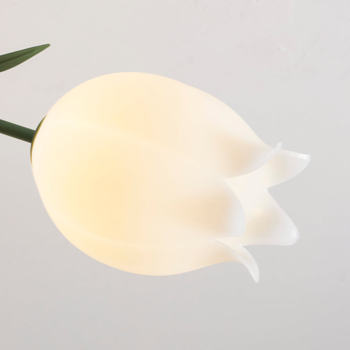 Flush Mount Floral Ceiling Light Fixture with Multi-Head LED Design for Bedroom, Living Room