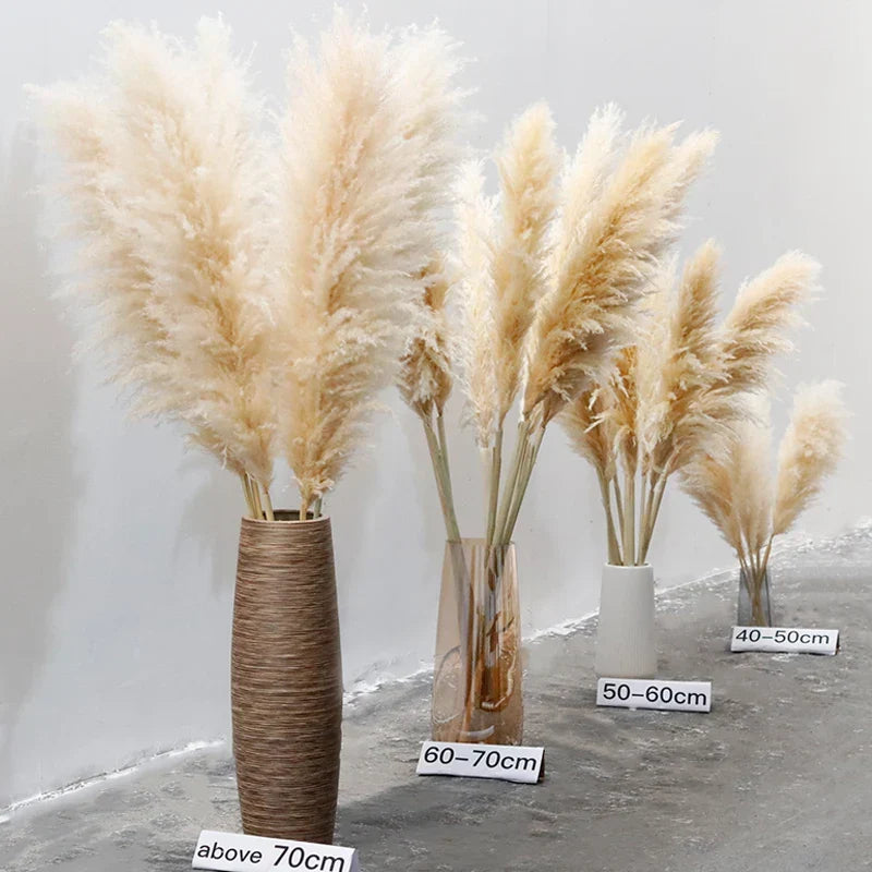 Faux Pampas Grass Stems Natural Beige 10-Pack Boho Decor for Living Room Bedroom Wedding Events Fluffy Reed Bundle Centerpiece | Thomler