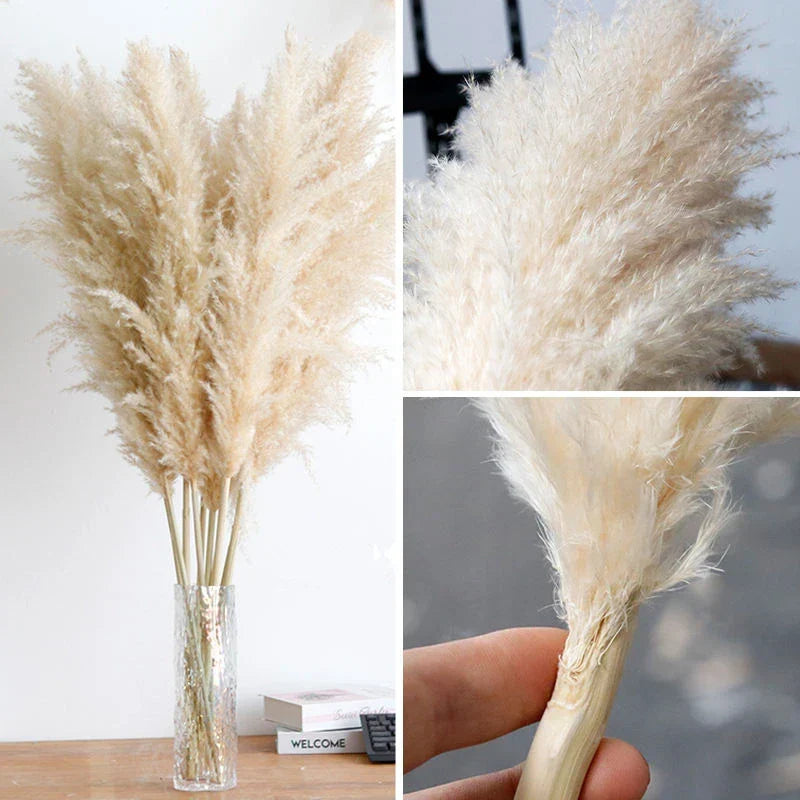 Faux Pampas Grass Stems Natural Beige 10-Pack Boho Decor for Living Room Bedroom Wedding Events Fluffy Reed Bundle Centerpiece | Thomler