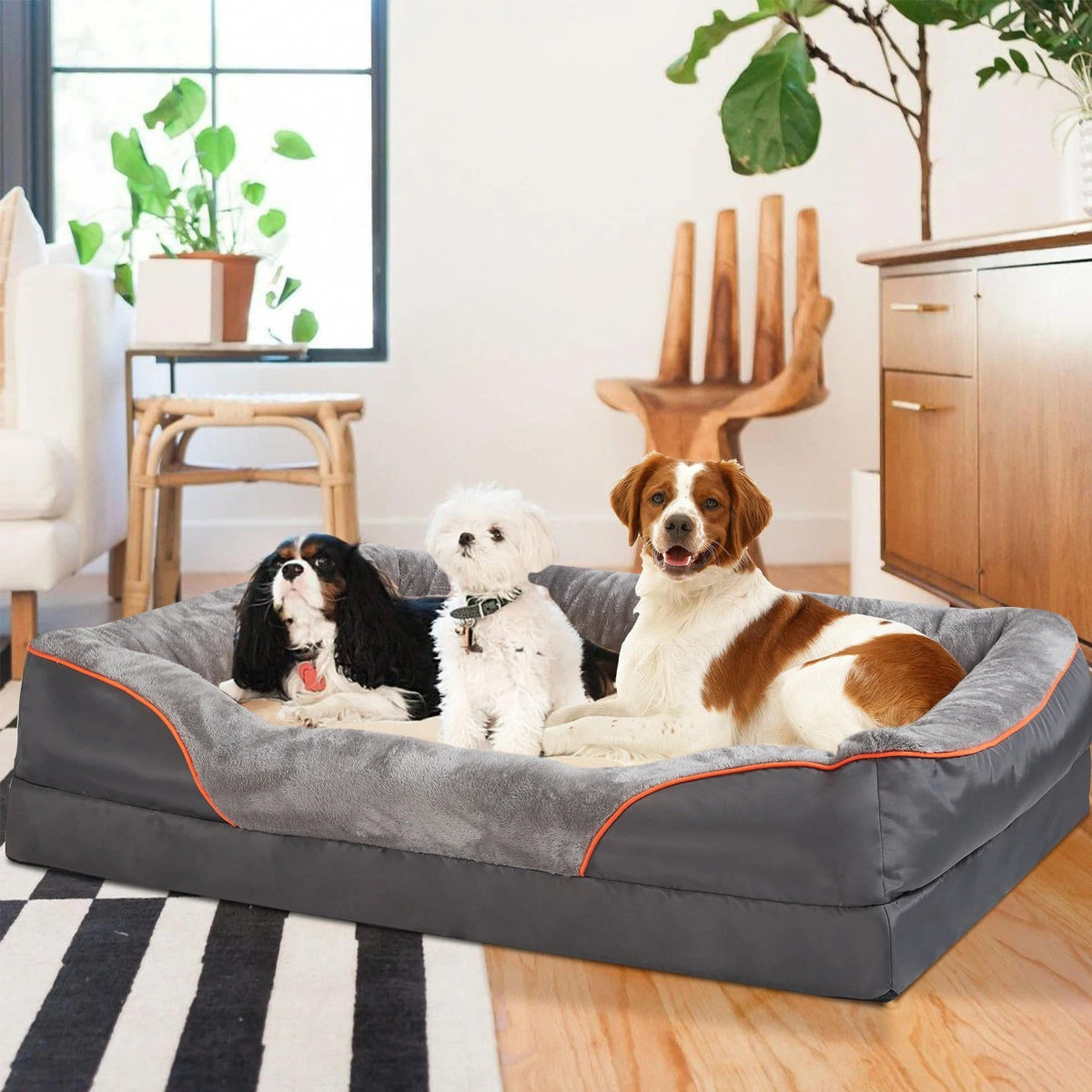 Cama ortopédica para perros