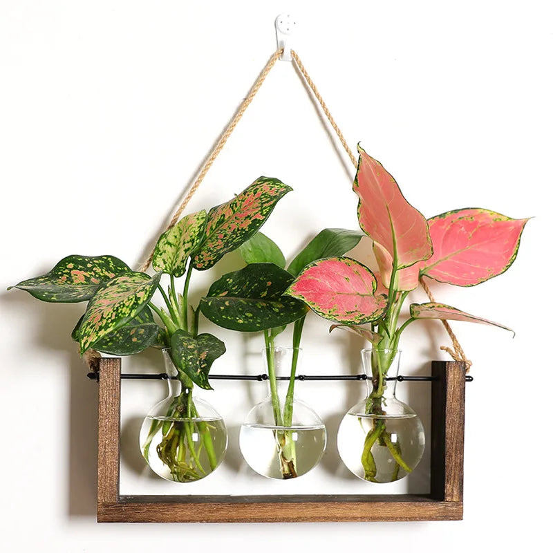 Wooden Hydroponic Vase Holder with Glass Tubes for Propagating Cuttings Tabletop Decor Station for Herbs Flowers Succulents Root Development | Thomler