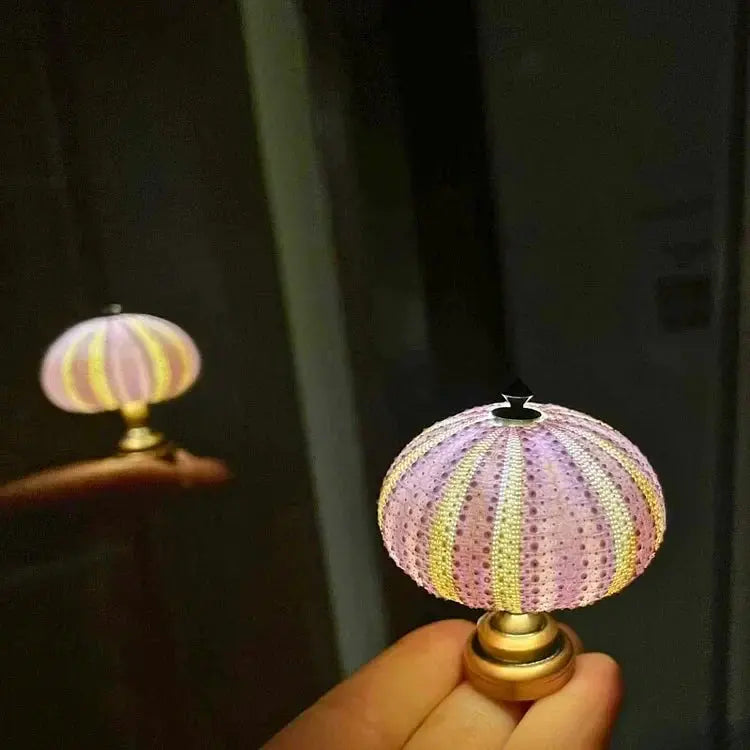 Sea Urchin Accent Night Light with Soft Ambient Glow for Bedroom Nightstand Living Room Coastal Decor Organic Shell Lamp | Thomler