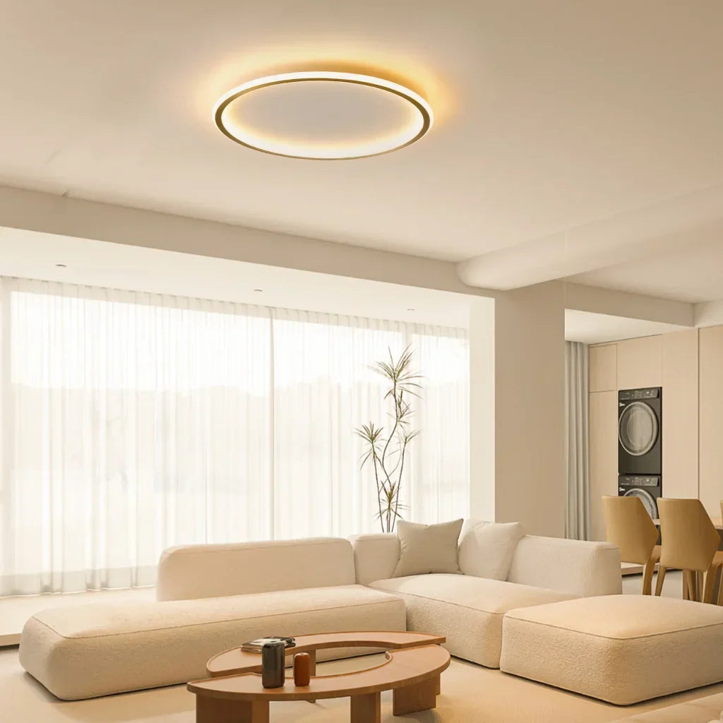 Round LED Flush Mount Ceiling Light 12in 16in 20in Metal Fixture Dimmable Color Temperature Living Room Bedroom Office Hallway | Thomler