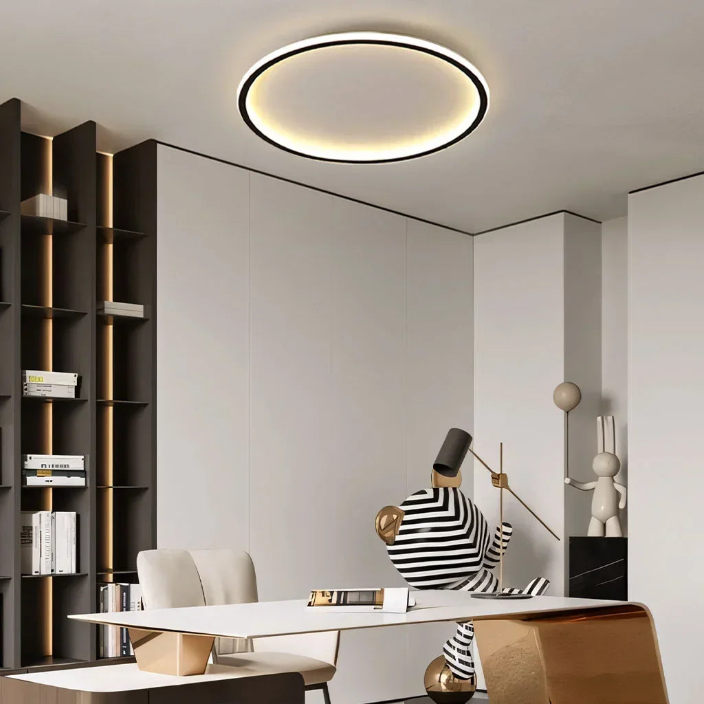 Round LED Flush Mount Ceiling Light 12in 16in 20in Metal Fixture Dimmable Color Temperature Living Room Bedroom Office Hallway | Thomler