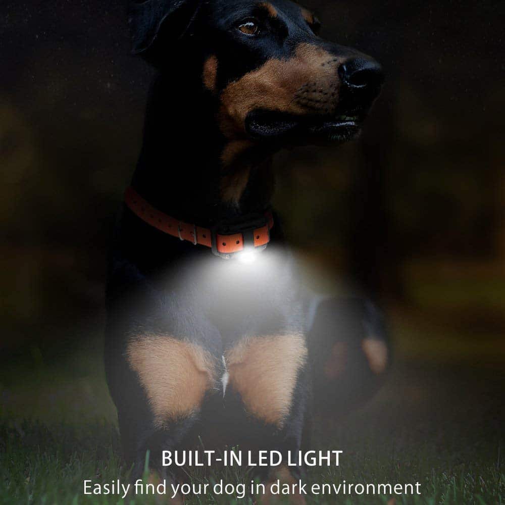 Collar de adiestramiento eléctrico para perros Alcance de 800m