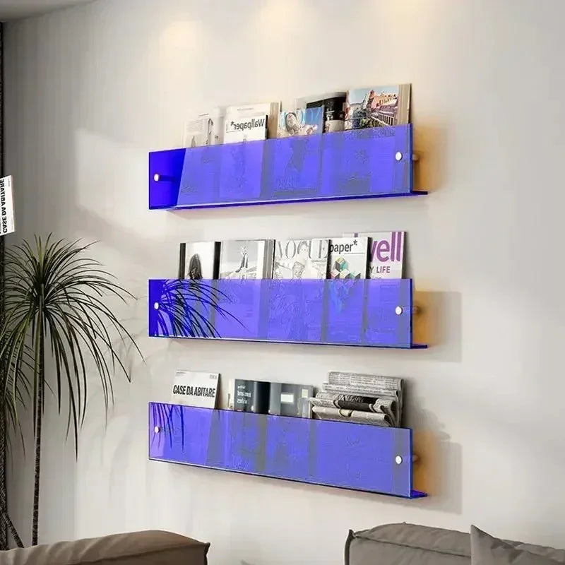 Vinyl Record Holder Wall Rack Magazine Organizer Shelf for Living Room Books Newspapers Home Office Storage Clear Acrylic Display Mount | Thomler