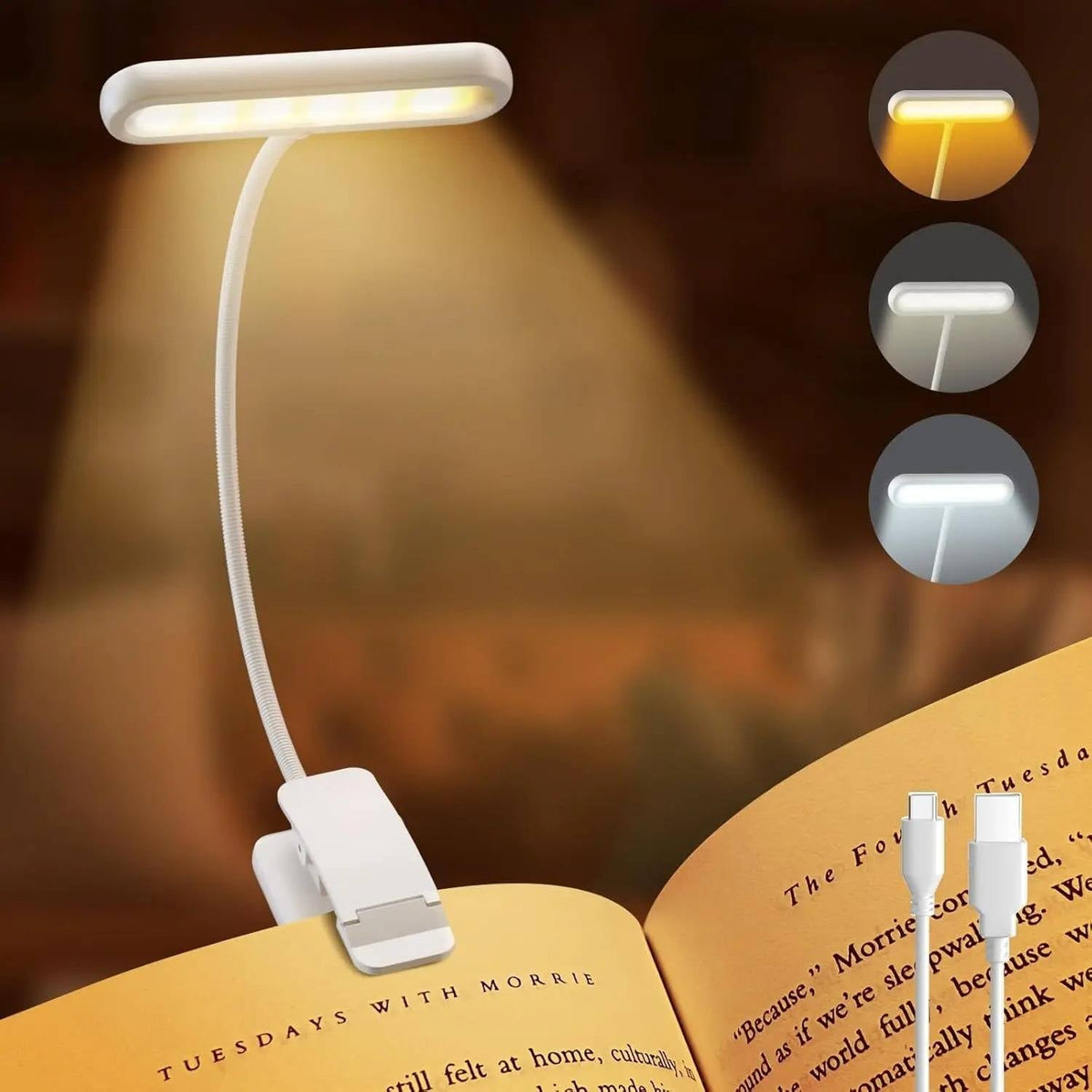 Leselampe für Bücher