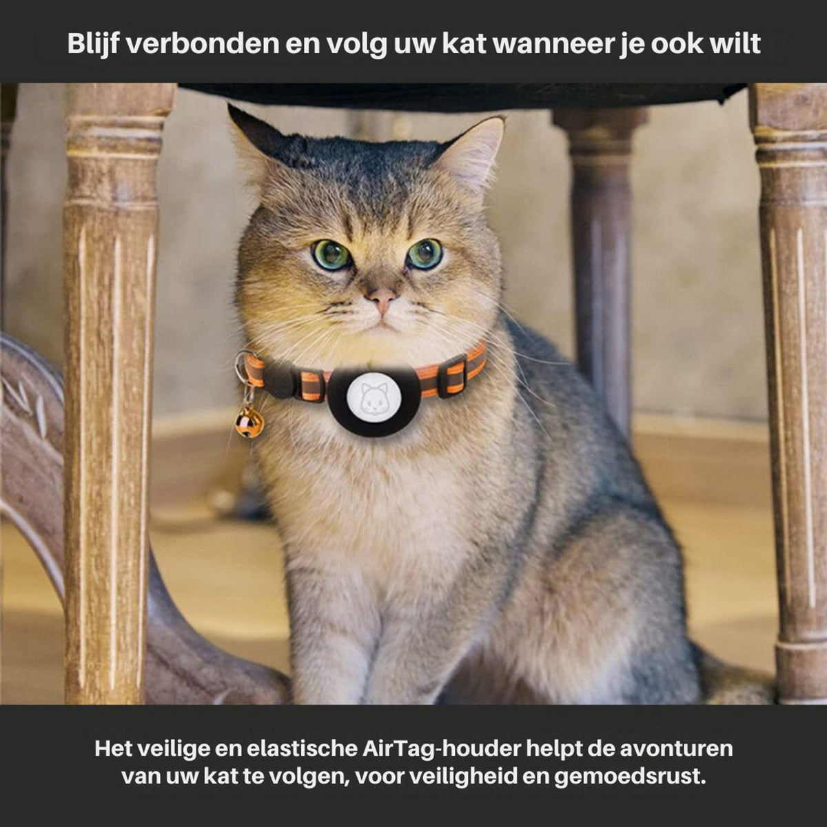 Cat GPS Tracker Collar With Reflective Design For Enhanced Visibility At Night Easy To Adjust And Comfortable To Wear