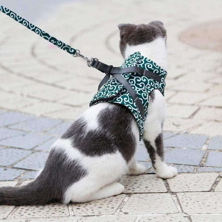 Kattenharnas & Lijnset | Ademend Mesh Vest voor Buitenavonturen | Verstelbaar Anti-trekontwerp voor Katten & Kleine Honden