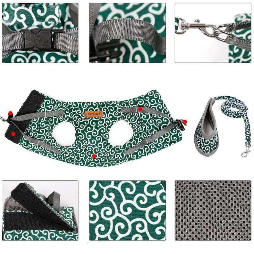 Kattenharnas & Lijnset | Ademend Mesh Vest voor Buitenavonturen | Verstelbaar Anti-trekontwerp voor Katten & Kleine Honden