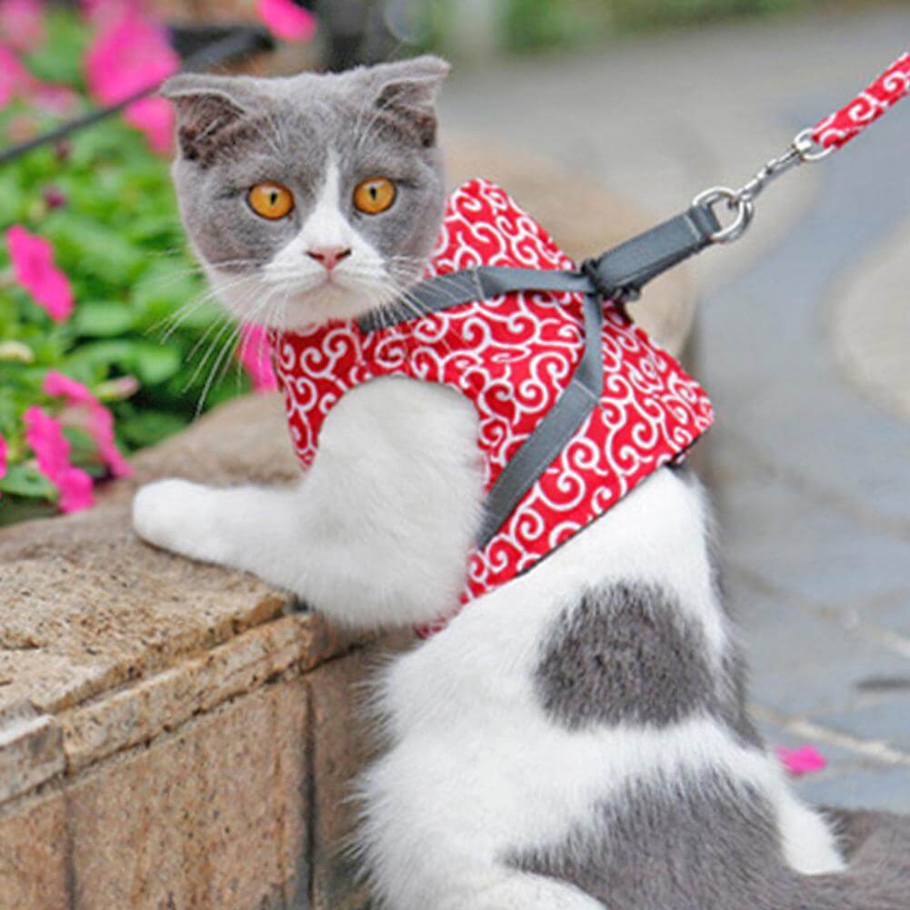 Kattenharnas & Lijnset | Ademend Mesh Vest voor Buitenavonturen | Verstelbaar Anti-trekontwerp voor Katten & Kleine Honden