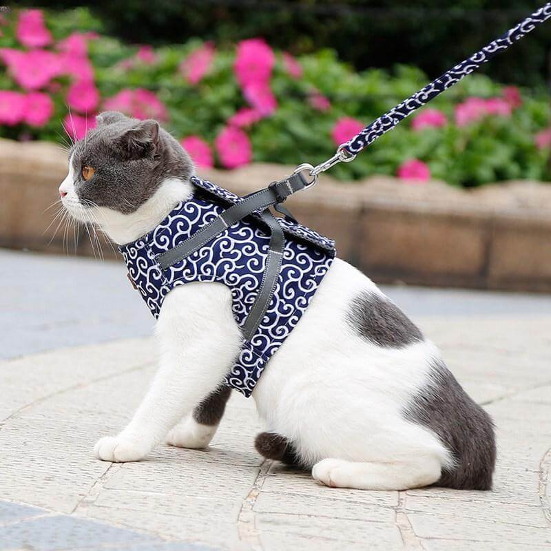 Cat Walking Harness & Leash Set | Breathable Mesh Vest Jacket for Outdoor Adventures | Adjustable No-Pull Design for Cats & Small Dogs