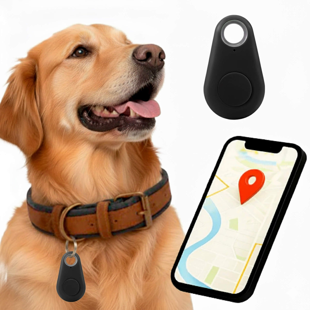 Dog GPS Tracker With Real-Time Location Updates And No Monthly Fees