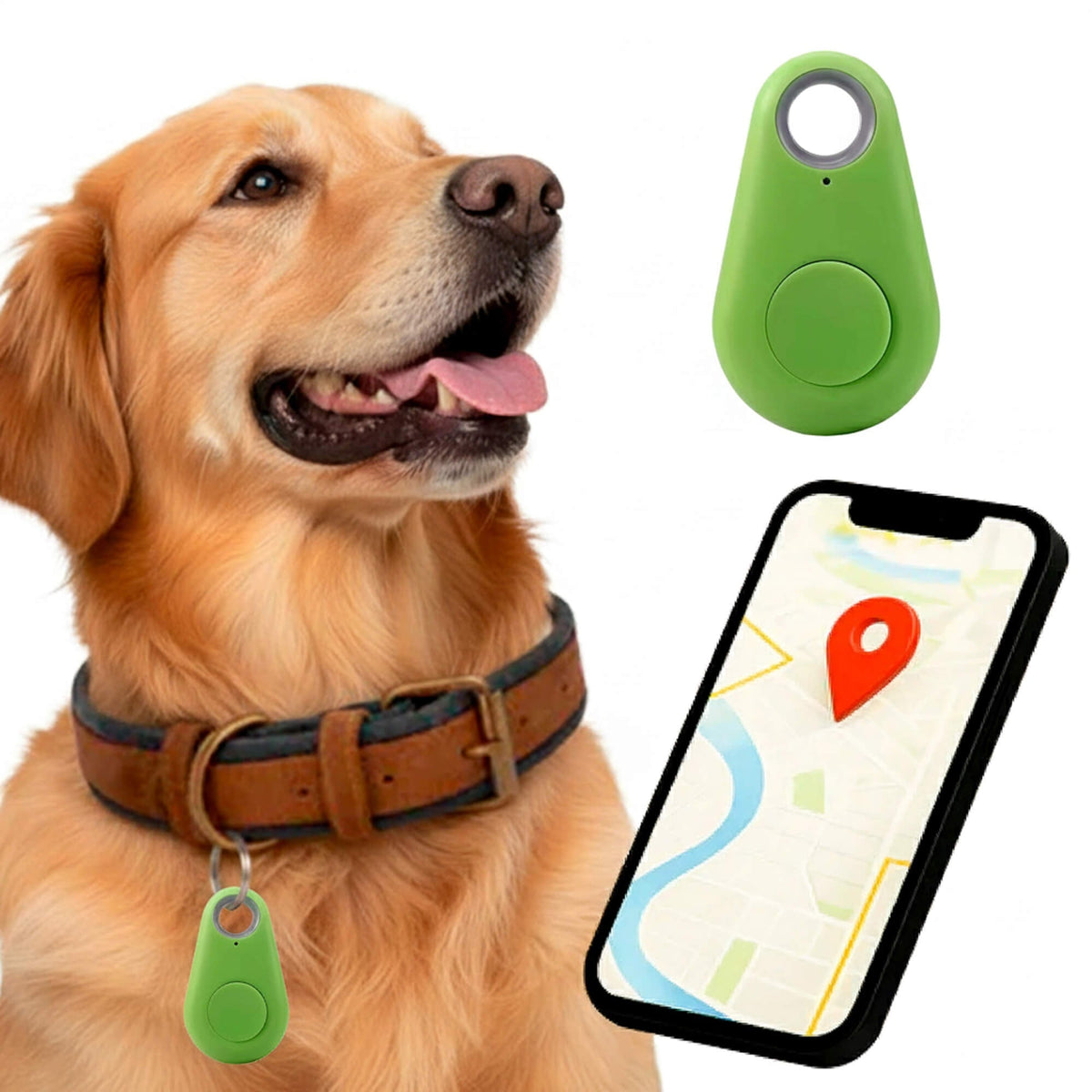 Dog GPS Tracker With Real-Time Location Updates And No Monthly Fees