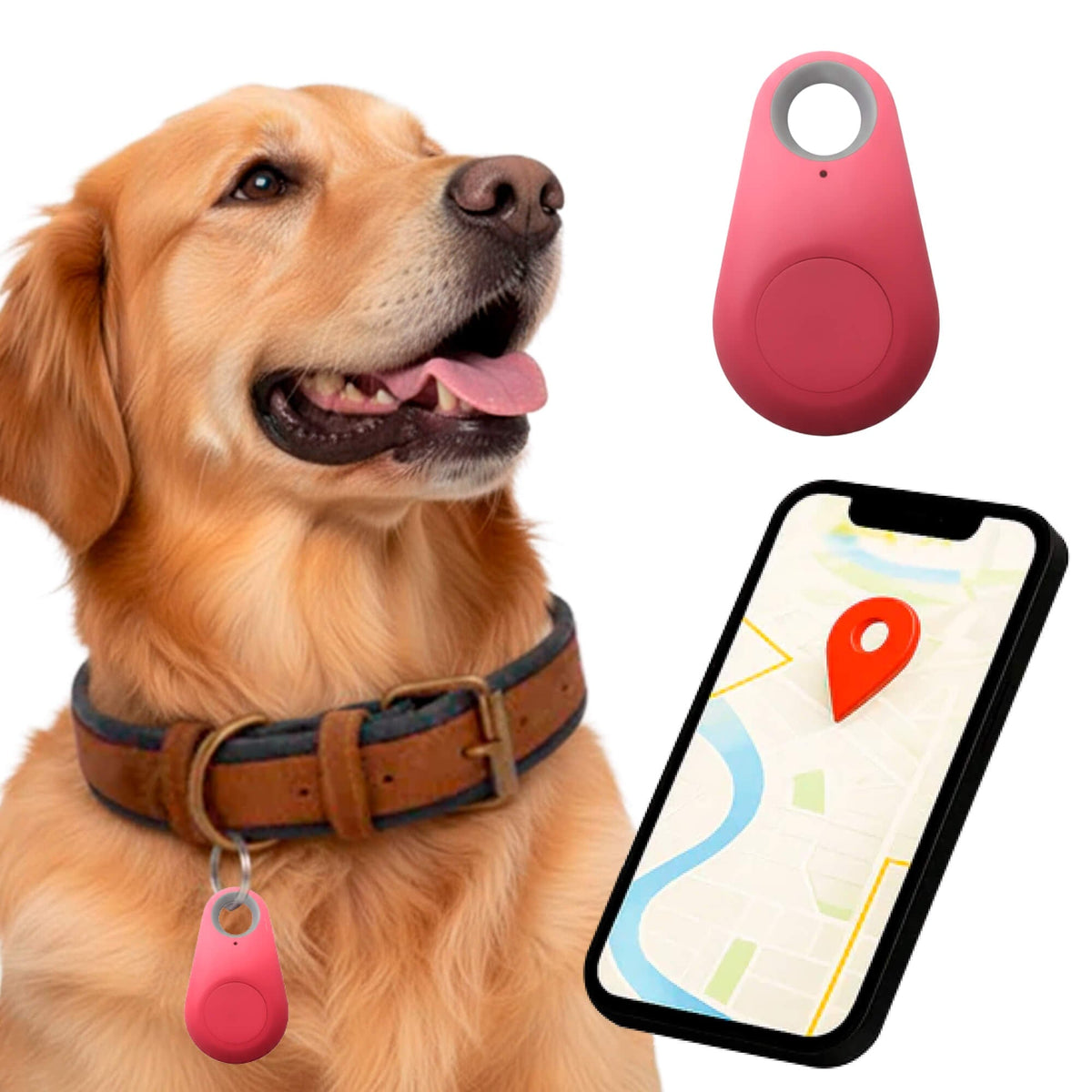 Dog GPS Tracker With Real-Time Location Updates And No Monthly Fees